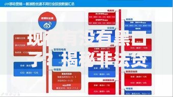现在有没有黑口子？揭秘非法贷款渠道识别与防范指南