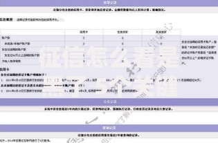 征信怎么看是黑了 5个关键信号与修复指南