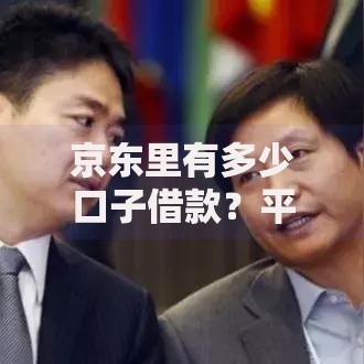 京东里有多少口子借款？平台产品深度解析