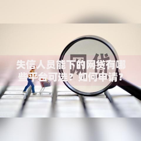 失信人员能下的网贷有哪些平台可选？如何申请？