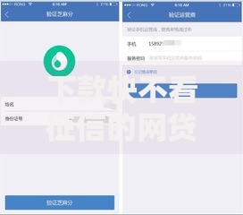 下款快不看征信的网贷有哪些靠谱平台？如何避坑？