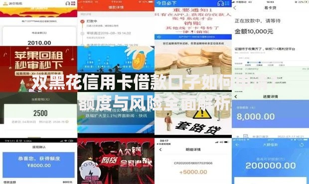 双黑花信用卡借款口子如何申请？额度与风险全面解析