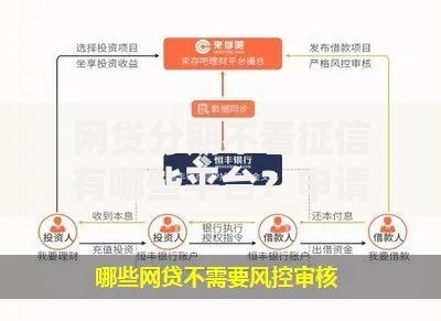 网贷分期不看征信有哪些平台？申请流程与风险解析