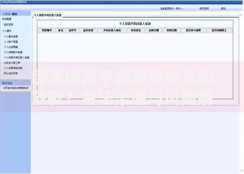 哪里借款不需要审核立即放款？合法渠道与风险解析