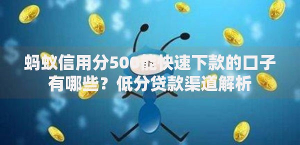 蚂蚁信用分500能快速下款的口子有哪些？低分贷款渠道解析