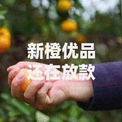 新橙优品还在放款吗？最新放款政策深度解析