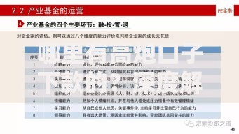 哪里有高炮口子下款的？深度解析与风险预警