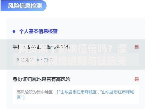 网贷黑了影响征信吗？深度解析网贷逾期与征信关联