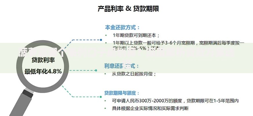 菠萝派哪个系列口子最划算？深度解析贷款方案选择