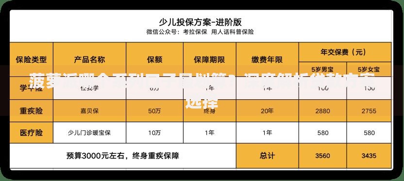 菠萝派哪个系列口子最划算？深度解析贷款方案选择