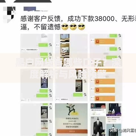 黑户网贷有哪些口子？深度解析与风险预警