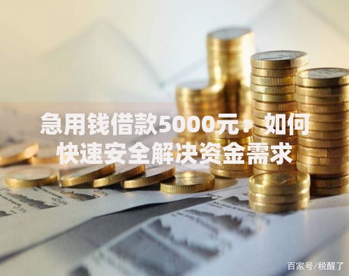 急用钱借款5000元：如何快速安全解决资金需求
