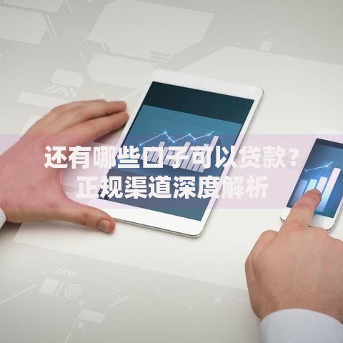还有哪些口子可以贷款？正规渠道深度解析