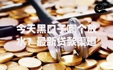 今天黑口子哪个放水？最新贷款渠道深度解析