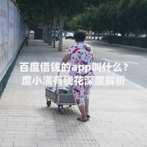 百度借钱的app叫什么？度小满有钱花深度解析