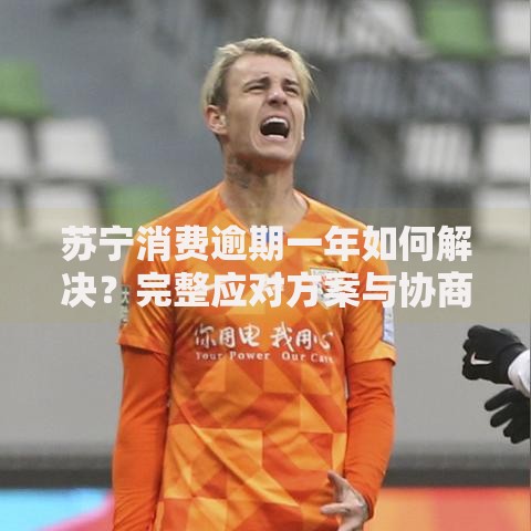 苏宁消费逾期一年如何解决？完整应对方案与协商技巧