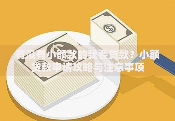 有没有小额款的我要贷款？小额贷款申请攻略与注意事项