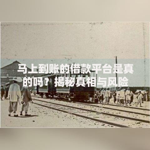 马上到账的借款平台是真的吗？揭秘真相与风险