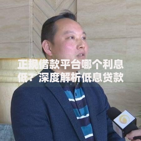 正规借款平台哪个利息低？深度解析低息贷款挑选指南