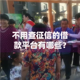 不用查征信的借款平台有哪些？五类正规渠道解析
