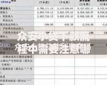 众安小贷下款流程中需要注意哪些细节？关键问题解析