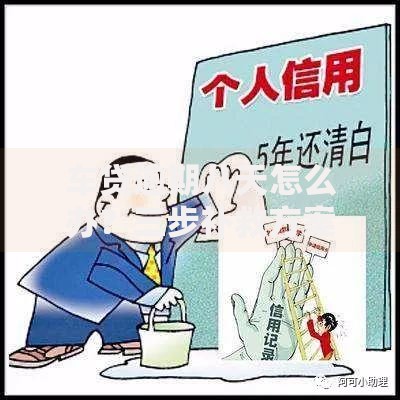 车贷逾期八天怎么办？三步补救方案避免信用受损