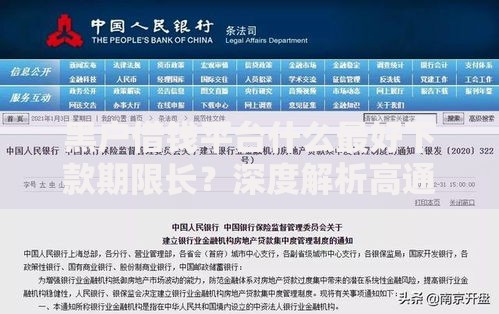 黑户借钱平台什么最好下款期限长？深度解析高通过率渠道