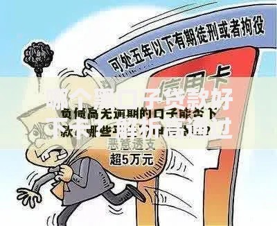 哪个黑口子贷款好下卡？解析高通过率的借款渠道与风险防范