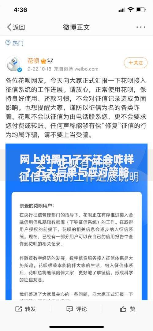 网上的黑口子不还会咋样？五大后果与应对策略