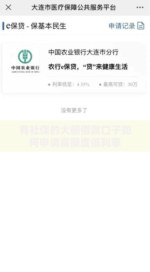 有社保的大额借款口子如何申请高额度低利率