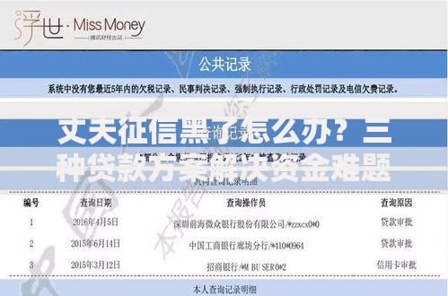 丈夫征信黑了怎么办？三种贷款方案解决资金难题