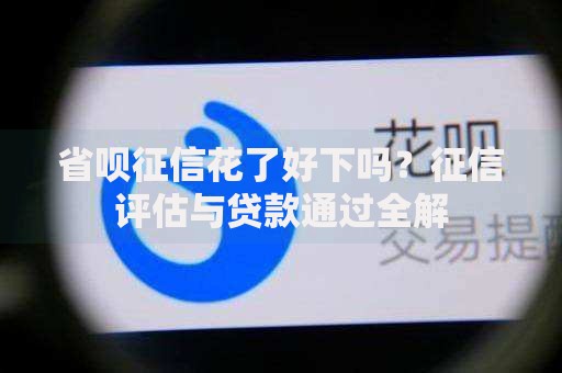 省呗征信花了好下吗？征信评估与贷款通过全解