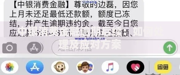 中银消费金融逾期后续：如何处理及应对方案