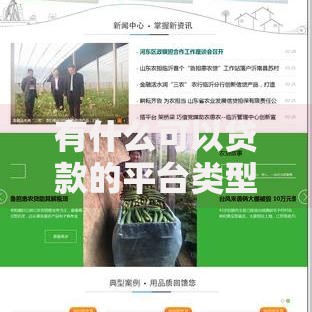 有什么可以贷款的平台类型及申请条件解析
