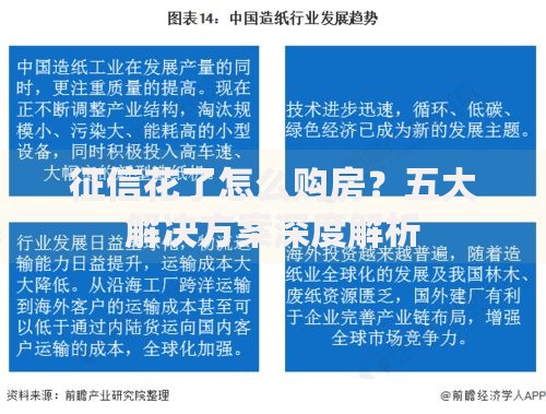 征信花了怎么购房？五大解决方案深度解析