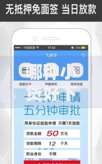 哪种小贷好下款？低门槛快速审批平台推荐
