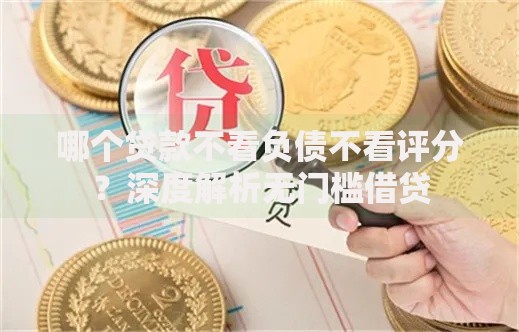 哪个贷款不看负债不看评分？深度解析无门槛借贷
