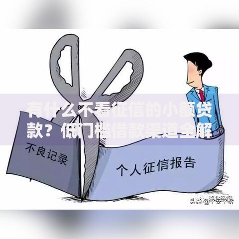 有什么不看征信的小额贷款？低门槛借款渠道全解析