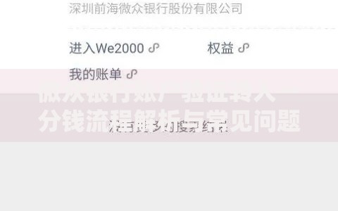 微众银行账户验证转入一分钱流程解析与常见问题解答