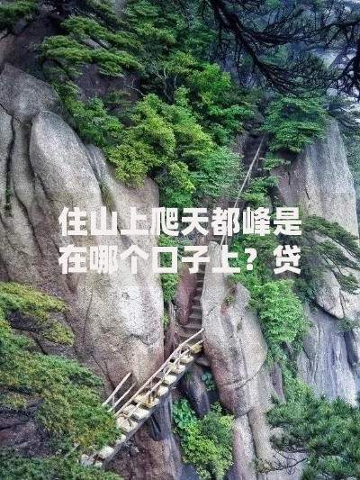 住山上爬天都峰是在哪个口子上？贷款渠道选择全解析