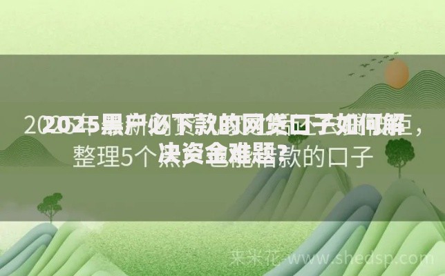 2025黑户必下款的网贷口子如何解决资金难题？