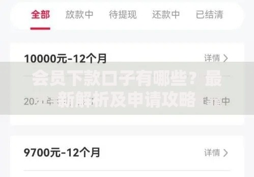 会员下款口子有哪些？最新解析及申请攻略