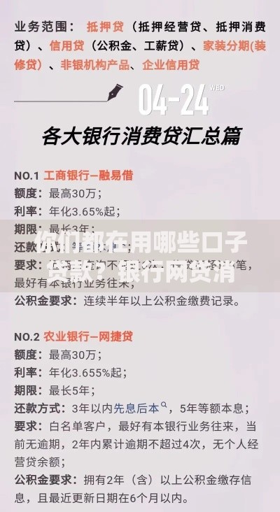 你们都在用哪些口子贷款？银行网贷消费金融全解析