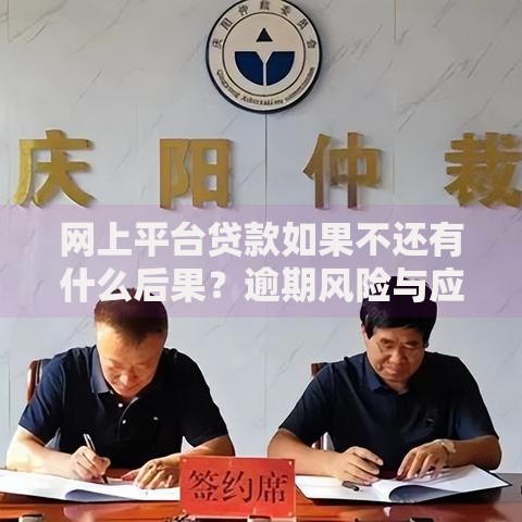 网上平台贷款如果不还有什么后果？逾期风险与应对解析