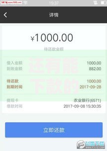 还有能下款的老口子吗？2024年贷款渠道深度解析