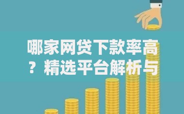 哪家网贷下款率高？精选平台解析与申请技巧