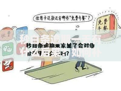 秒白条逾期一天有什么后果？如何补救及注意事项解析