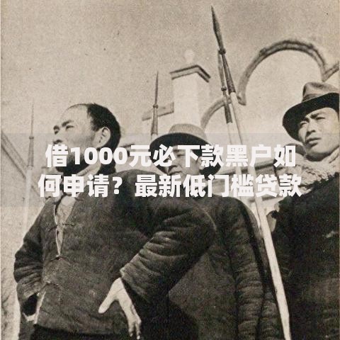 借1000元必下款黑户如何申请？最新低门槛贷款渠道解析