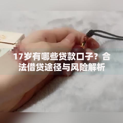 17岁有哪些贷款口子？合法借贷途径与风险解析
