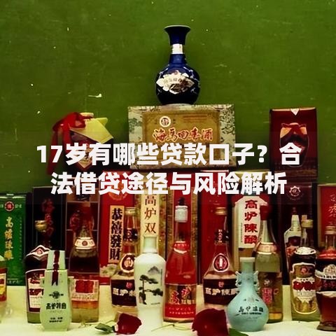 17岁有哪些贷款口子？合法借贷途径与风险解析